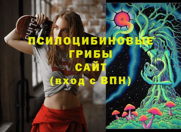 метадон Гусь-Хрустальный