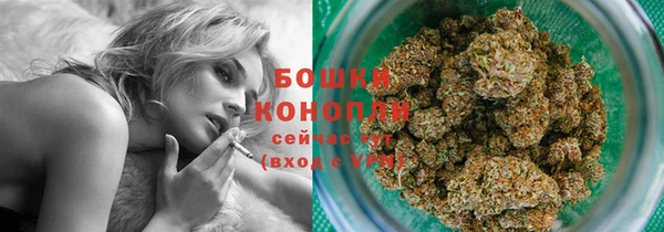 эйфоретик Дмитриев
