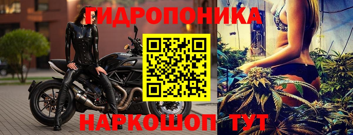 Бошки Шишки конопля Саяногорск